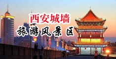 草小逼逼视频图片中国陕西-西安城墙旅游风景区